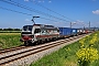 Siemens 23639 - SBB Cargo "193 453"
15.05.2025 - Heddesheim
Wolfgang Mauser