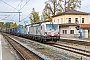 Siemens 23652 - TXL "7193 309"
19.10.2025 - Aßling (Oberbayern)Mathias May