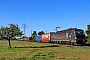 Siemens 23653 - TXL "7193 310"
23.04.2026 - WiesentalWolfgang Mauser