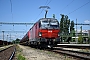 Siemens 23729 - ÖBB "1293 125"
27.05.2025 - Tatabánya
Norbert Tilai