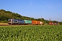 Siemens 23774 - boxXpress "7193 197"
12.06.2025 - Gemünden (Main)-Harrbach
Wolfgang Mauser
