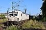 Siemens 23782 - FlixTrain "193 447"
20.06.2025 - Lehrte
Thomas Wohlfarth