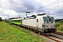Siemens 23782 - FlixTrain "193 447"
16.09.2025 - Heddesheim
Wolfgang Mauser