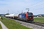 Siemens 23855 - SBB Cargo "193 071"
11.06.2025 - Lehrberg
André Grouillet