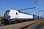 Siemens 24174 - LE "7193 146"
31.07.2026 - Břeclav Marcel  Mrkvička