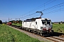 Siemens 24279 - TXL "7193 311"
09.05.2025 - Heddesheim
Wolfgang Mauser
