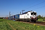 Siemens 24281 - TXL "7193 317"
28.04.2025 - Waghäusel
Wolfgang Mauser