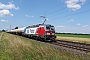 Siemens 24335 - Olavion "7193 888"
15.07.2026 - Peine-WoltorfGerd Zerulla