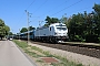 Siemens 24462 - MÁV "7193 659"
30.07.2026 - SiófokFrank Thomas
