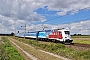 Škoda 9783 - ČD "380 013-3"
11.08.2016 - Pardubice-Opočínek
René Klink