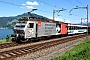 SLM 5307 - SOB "Re 456 095-9"
14.08.2019 - Immensee
Peider Trippi