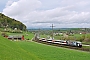 SLM 5505 - SBB "460 028-4"
15.04.2016 - EglisauPierre Hosch