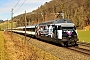 SLM 5505 - SBB "460 028-4"
23.02.2017 - TecknauPeider Trippi