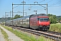 SLM 5508 - SBB "460 031"
15.06.2021 - Erlen
Peider Trippi