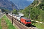 SLM 5519 - SBB "460 042-5"
20.08.2011 - Gamsen
Yannick Hauser