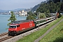 SLM 5520 - SBB "460 043-3"
22.08.2013 - Veytaux
Fabien Perissinotto