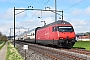 SLM 5521 - SBB "460 044-1"
19.03.2024 - Erlen
Peider Trippi