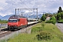 SLM 5554 - SBB "460 077-1"
16.05.2014 - Gwattegg
Mattias Catry