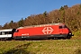 SLM 5564 - SBB "460 087-0"
07.04.2017 - Tecknau
Peider Trippi