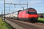 SLM 5572 - SBB "460 095-3"
08.11.2022 - Erlen
Peider Trippi