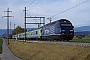 SLM 5642 - BLS "465 005-7"
28.10.2017 - Kerzers
Vincent Torterotot