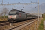 SLM 5667 - SBB "460 100-1"
20.11.2009 - Saint TryphonAndr&eacute; Grouillet