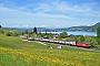 SLM 5674 - SBB "460 107-6"
15.05.2012 - Spiez
Marco Stellini