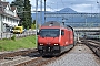 SLM 5675 - SBB "460 108-4"
06.07.2016 - Spiez
Przemyslaw Zielinski