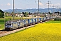 SLM 5736 - BLS "465 012-3"
17.05.2014 - Kiesen
Peider Trippi