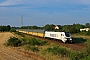 Stadler 4063 - ecco-rail "2159 218-7"
14.06.2023 - Rückmarsdorf
Daniel Berg