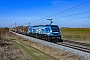 Stadler 4068 - RTB CARGO "2019 306-0"
08.03.2026 - ZurndorfMárton Menczel