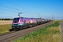Stadler 4069 - HSL "2019 307-8"
16.08.2024 - Niemberg
Daniel Berg