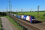 Stadler 4127 - BElog "2159 238-5"
15.05.2024 - Großkorbetha
Daniel Berg