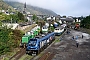Stadler 4335 - RBP "2019 313-6"
03.10.2026 - Brohl-Lützing, UmladebahnhofCarsten Klatt