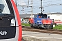 Stadler Winterthur L-11000/005 - SBB Cargo "923 005-3"
17.10.2023 - Buchs (SG)
Peider Trippi