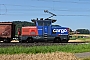 Stadler Winterthur L-11000/014 - SBB Cargo "923 014-5"
20.07.2021 - Waltenschwil
Peider Trippi
