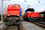 Stadler Winterthur L-11000/026 - SBB Cargo "923 026-9"
25.10.2013 - Lupfig
Peider Trippi