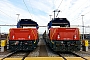 Stadler Winterthur L-11000/029 - SBB Cargo "923 029-3"
10.01.2014 - Lausanne-Triage
Bruno Porchat